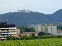 Blick auf Stift Gttweig