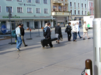 Spaziergang durch Wiener Neustadt