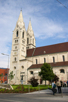 Der Dom von Wiener Neustadt