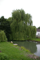 Schloss Ebergassing